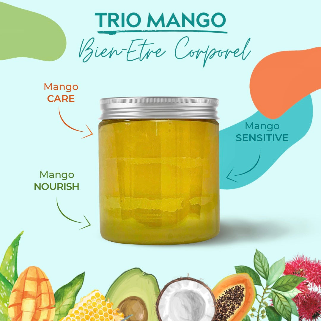 Mango Butterfull Mango Trio cure 3-en-1 beurre 250ml cheveux secs