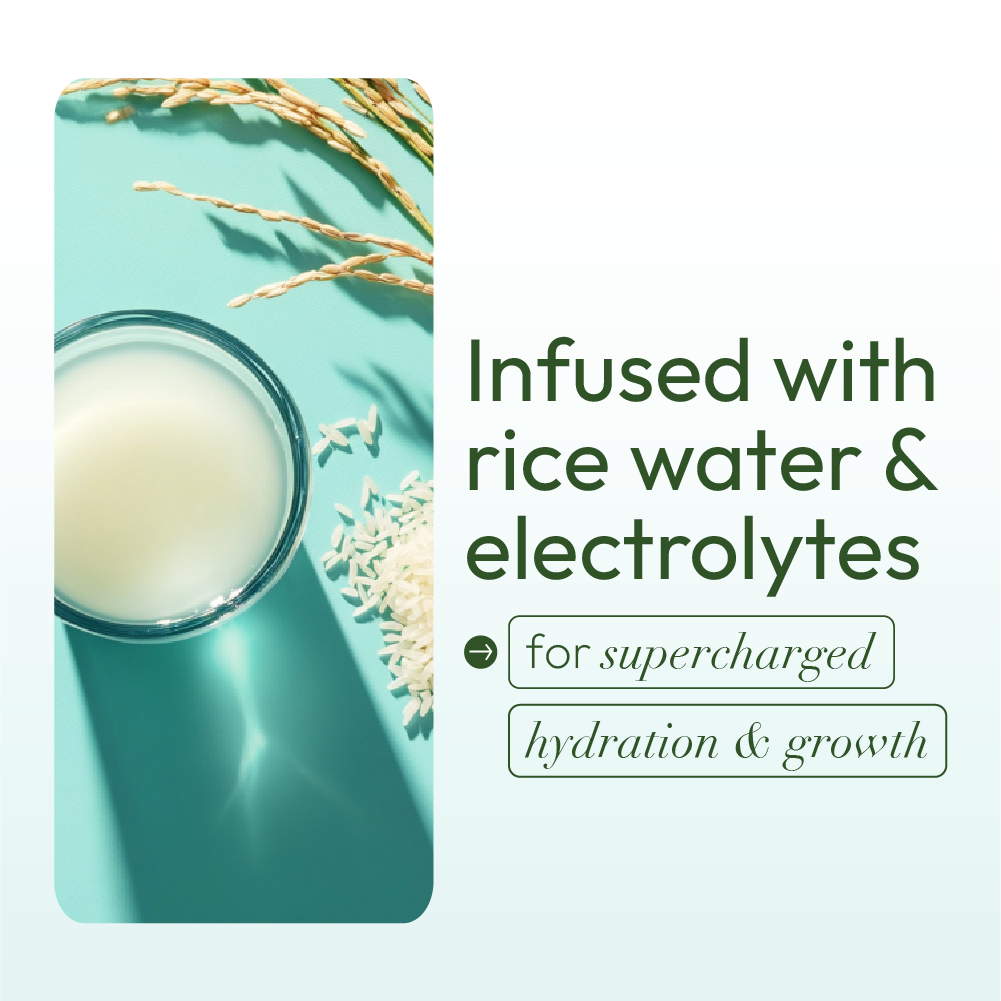 ORS Max Moisture leave-in 16 oz hydratation riz