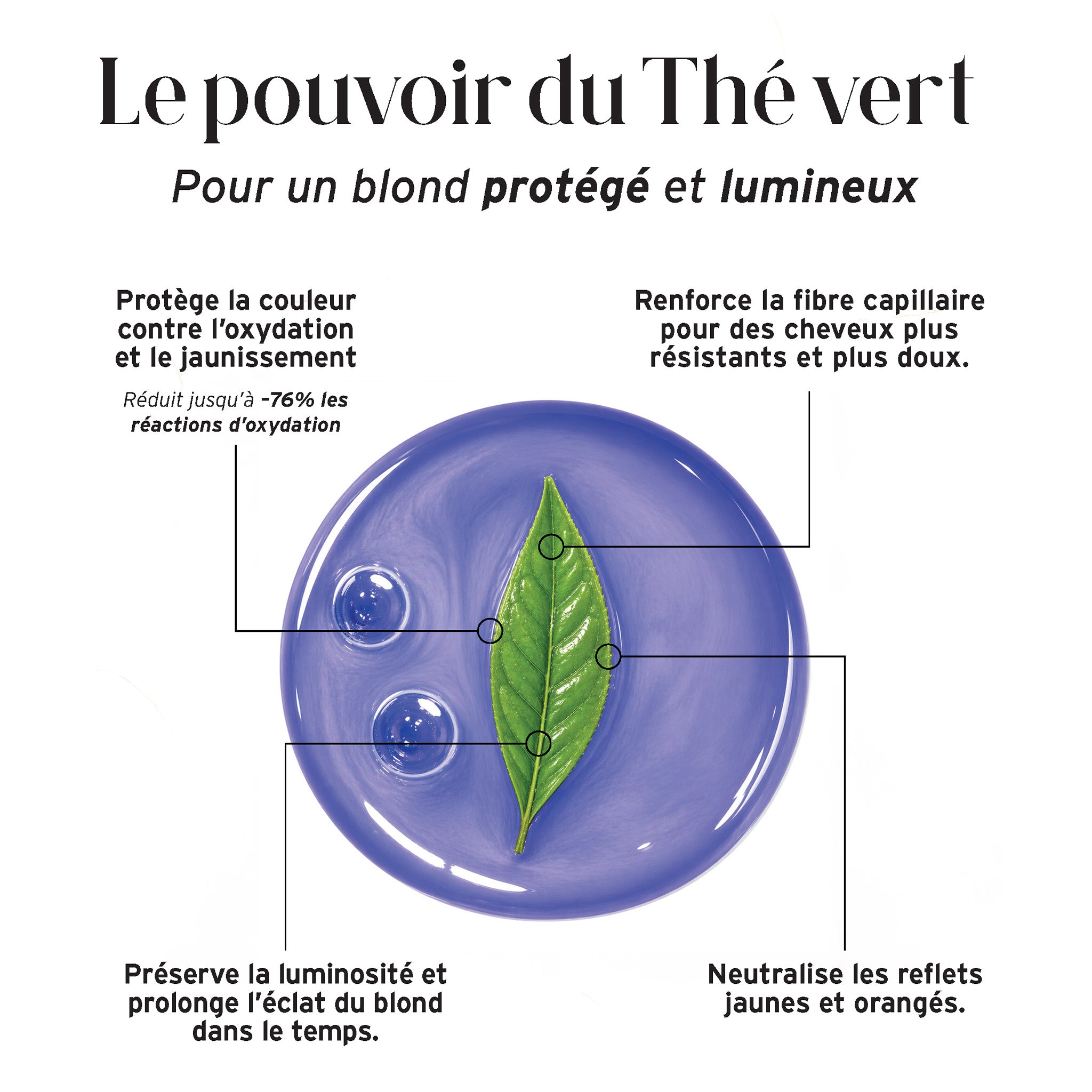 Végétalement Provence Shampooings Violet shampooing 250 ml blond
