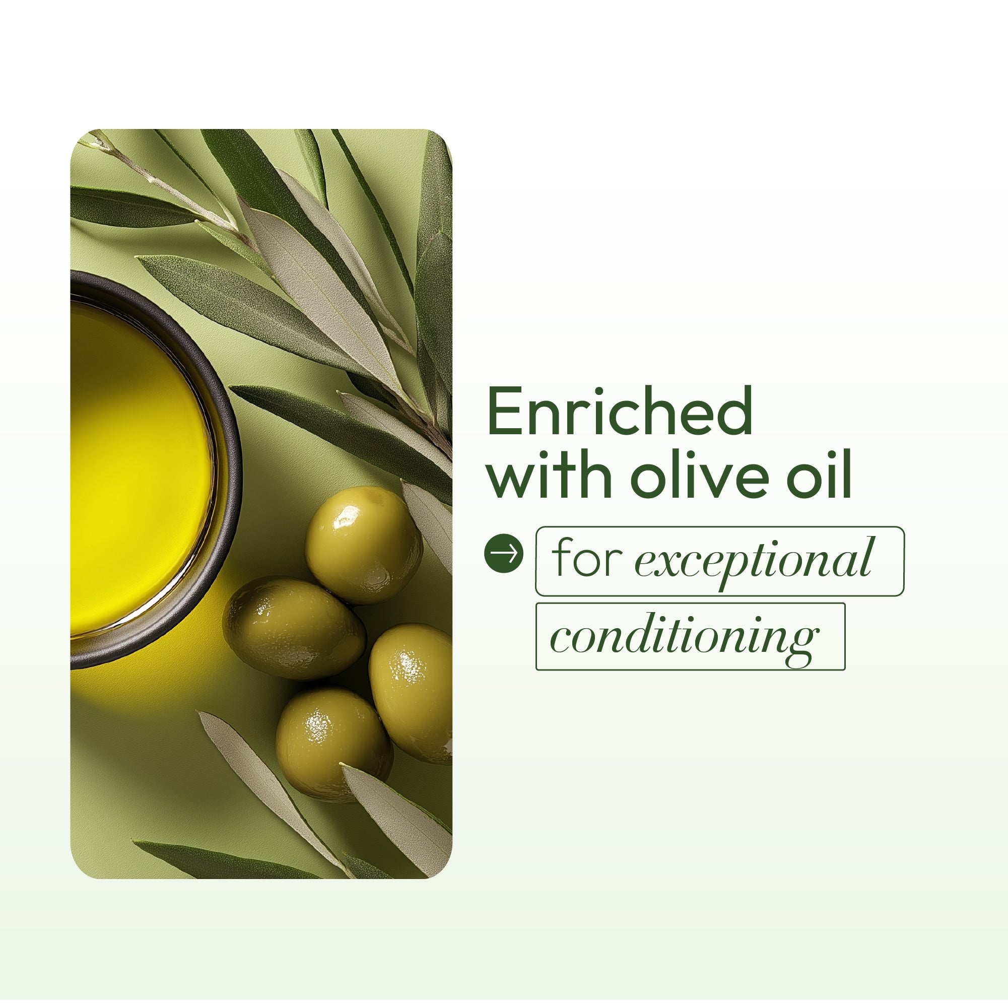 ORS Olive Oil défrisant sans soude Normal lissage doux
